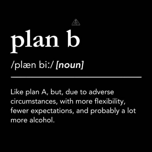 Definition Of Plan B Geek T-Shirt