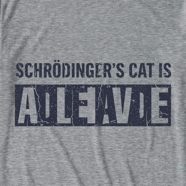 Schrodingers Cat Ultra Soft Heather Tee