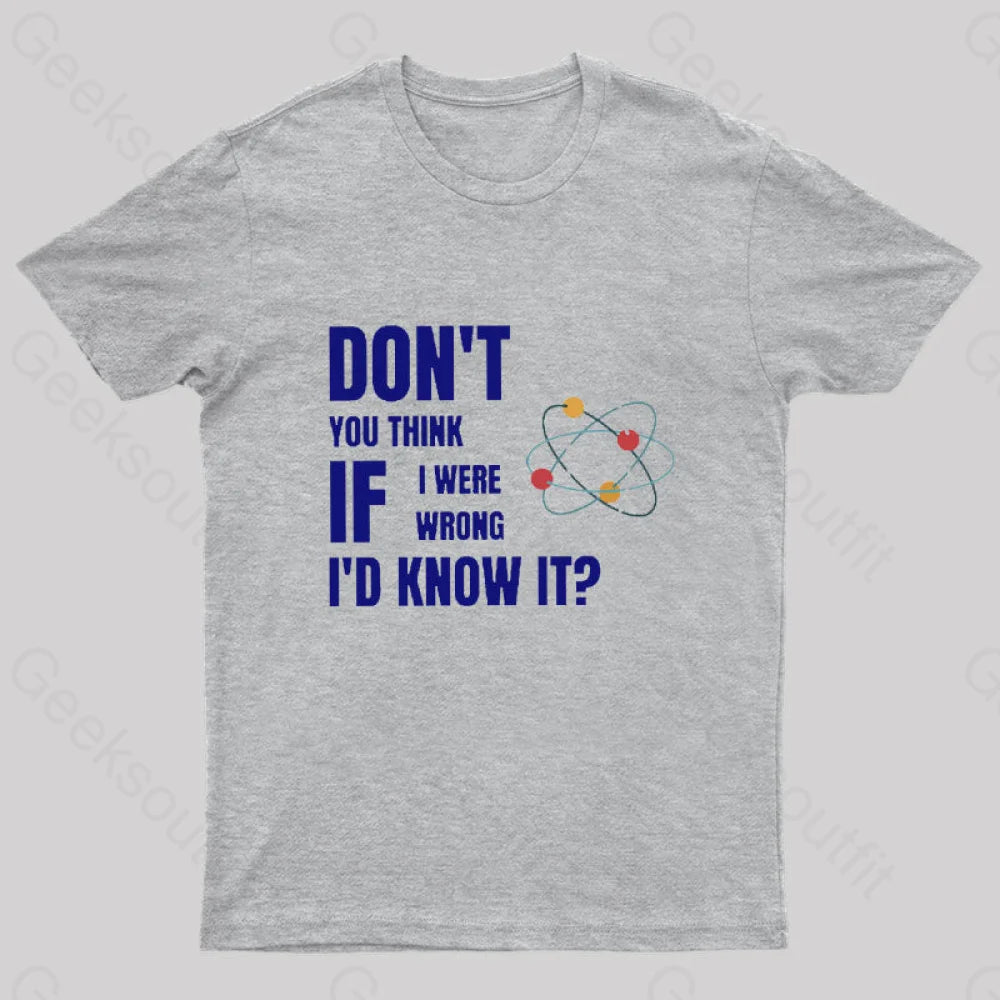 Do Not You Think If I Were Wrong Nerd T-Shirt Grey / S