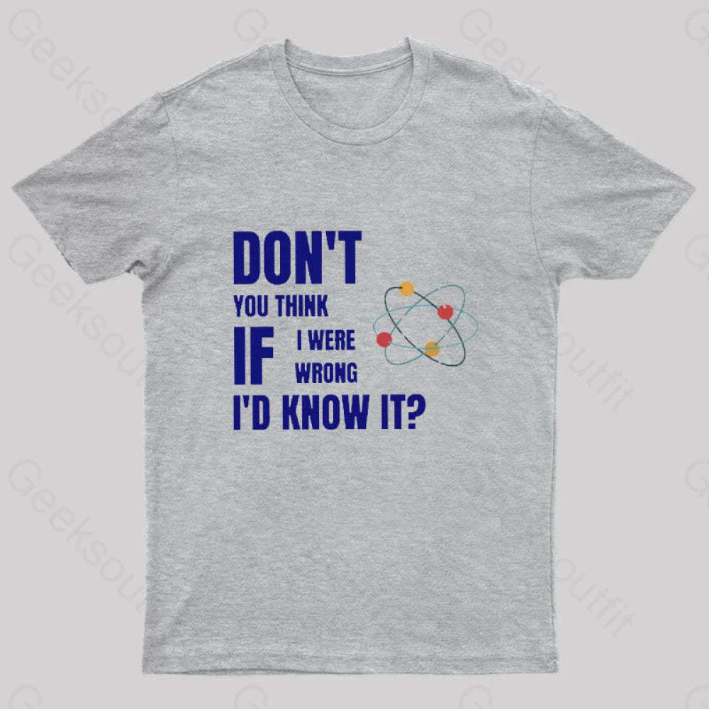 Do Not You Think If I Were Wrong Nerd T-Shirt Grey / S