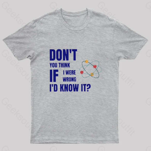 Do Not You Think If I Were Wrong Nerd T-Shirt Grey / S