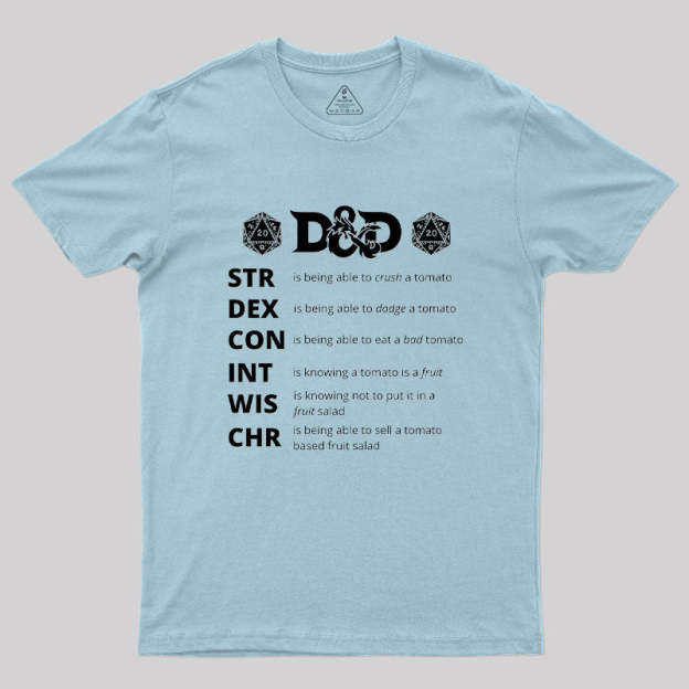 Dungeons And Dragons Gift Geek T-Shirt
