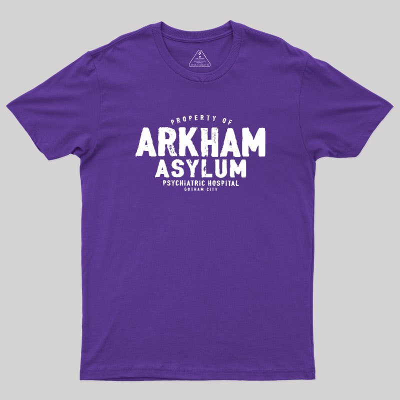 Arkham Asylum Geek T-Shirt