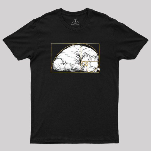 Perfect Ratio Geek T-Shirt