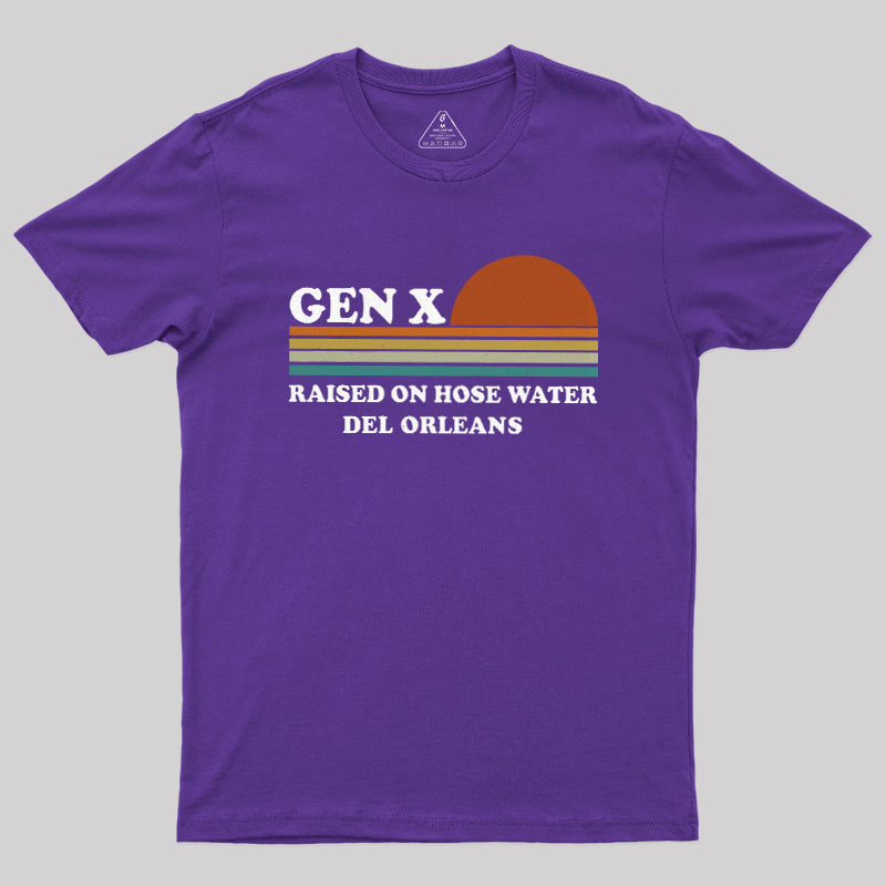 Gen-X Vintage Sunset Geek T-Shirt