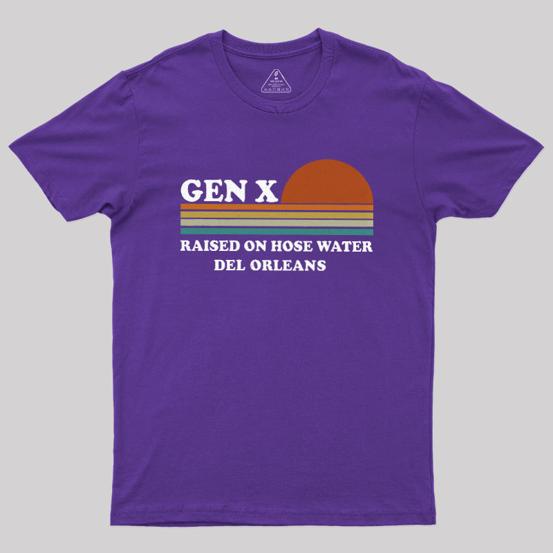 Gen-X Vintage Sunset Geek T-Shirt