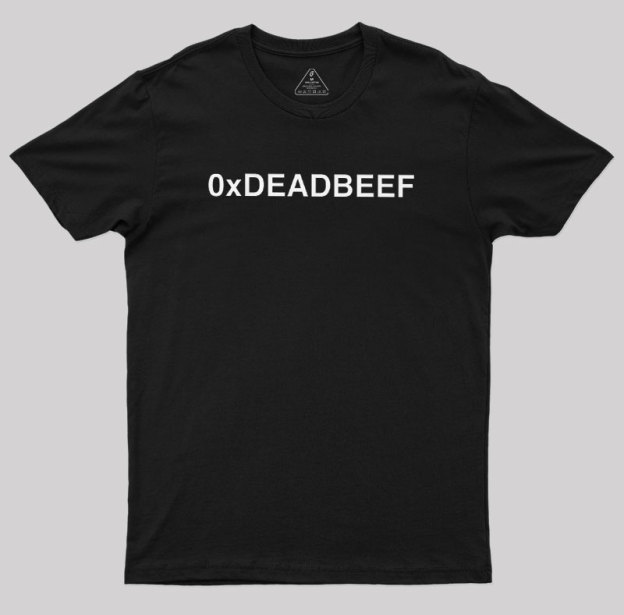 0xDEADBEEF Geek T-Shirt
