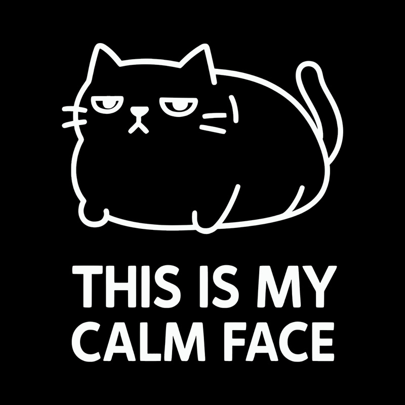 This Is My Calm Face Geek T-Shirt