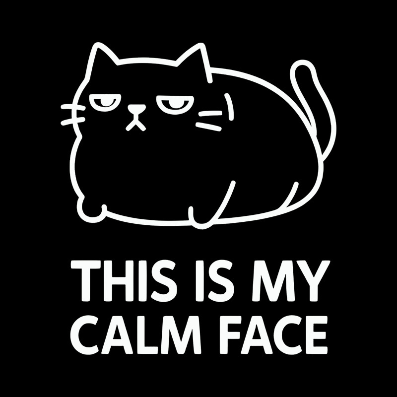 This Is My Calm Face Geek T-Shirt