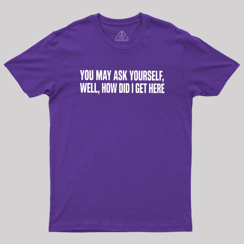 You May Ask Yourself Well How Did I Get Here Geek T-Shirt
