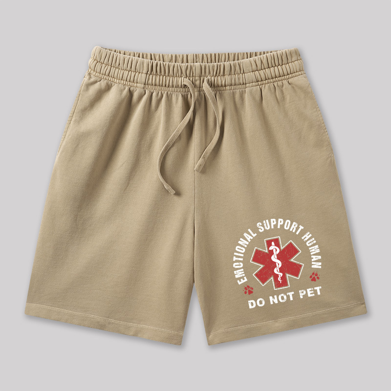 Emotional Support Geeky Washed Shorts