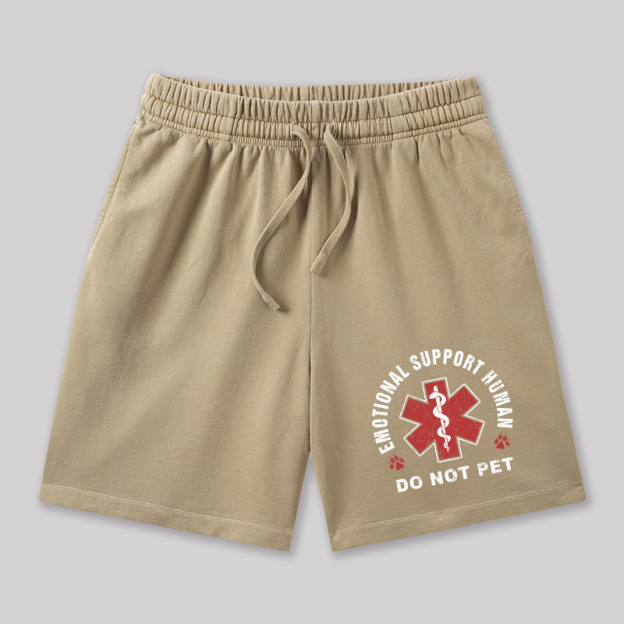 Emotional Support Geeky Washed Shorts