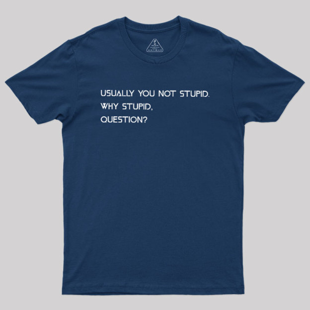 Why Stupid Question Geek T-Shirt
