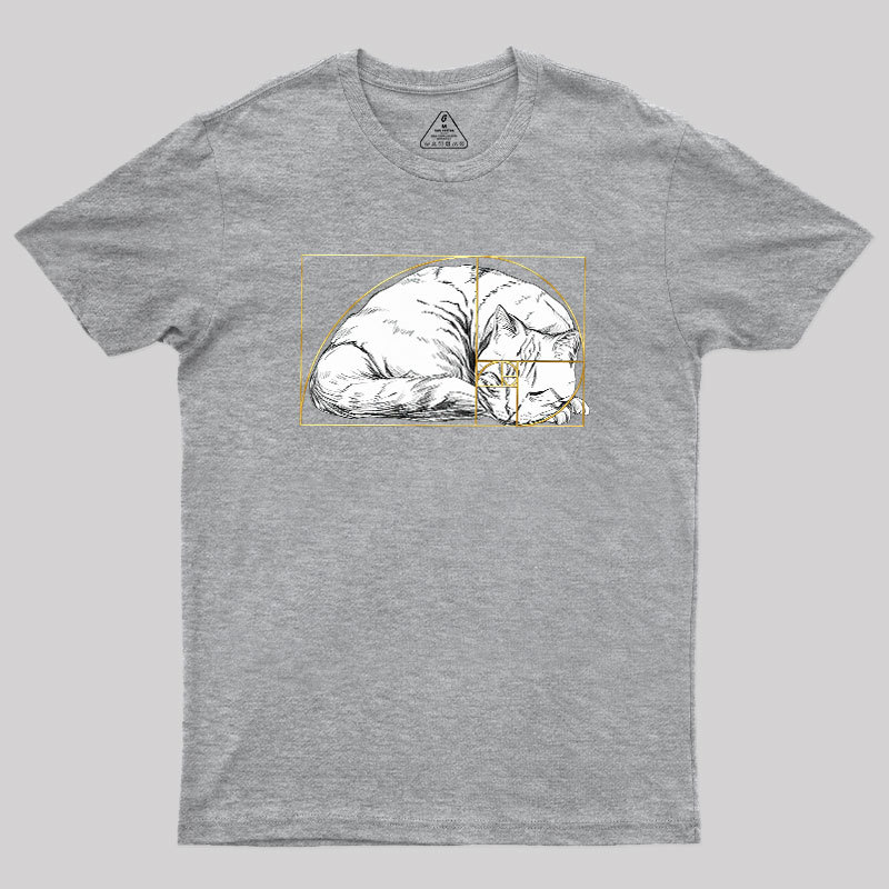 Perfect Ratio Geek T-Shirt