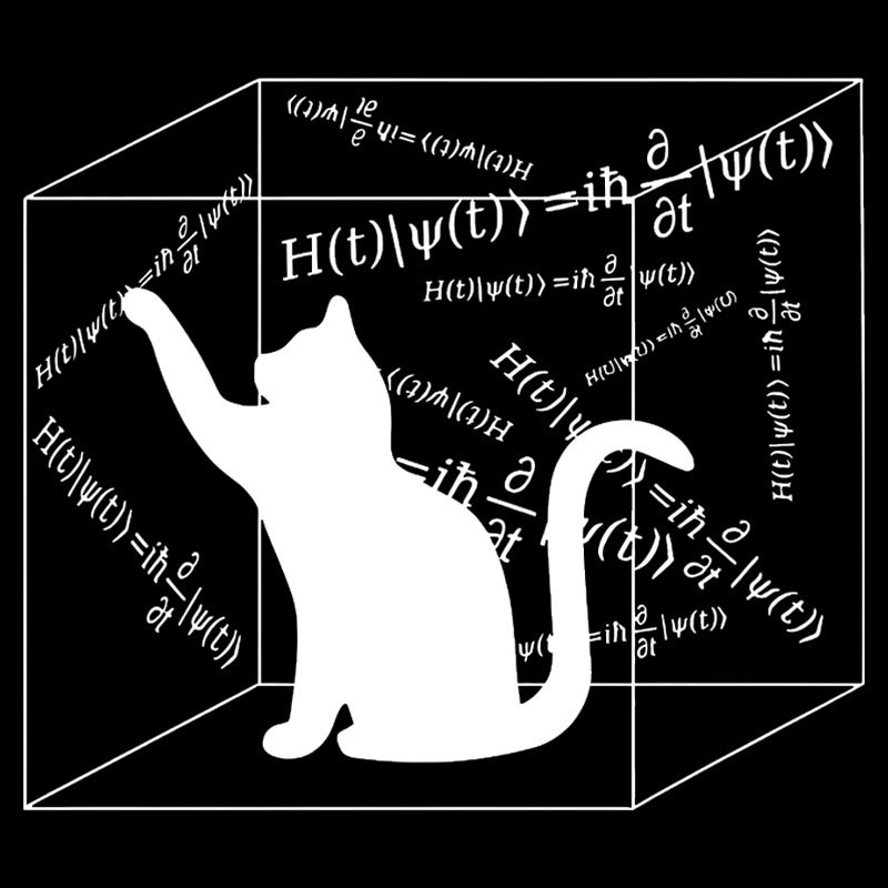 Schrodinger Cat In The Box Geek T-Shirt