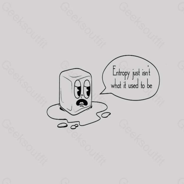 Entropy Just Isn’t What It Used To Be Geek T-Shirt