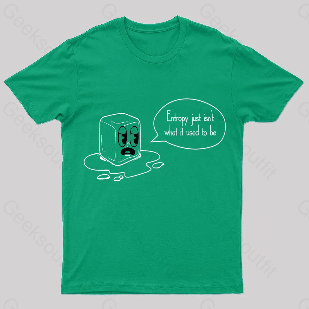 Entropy Just Isn’t What It Used To Be Geek T-Shirt Green / S