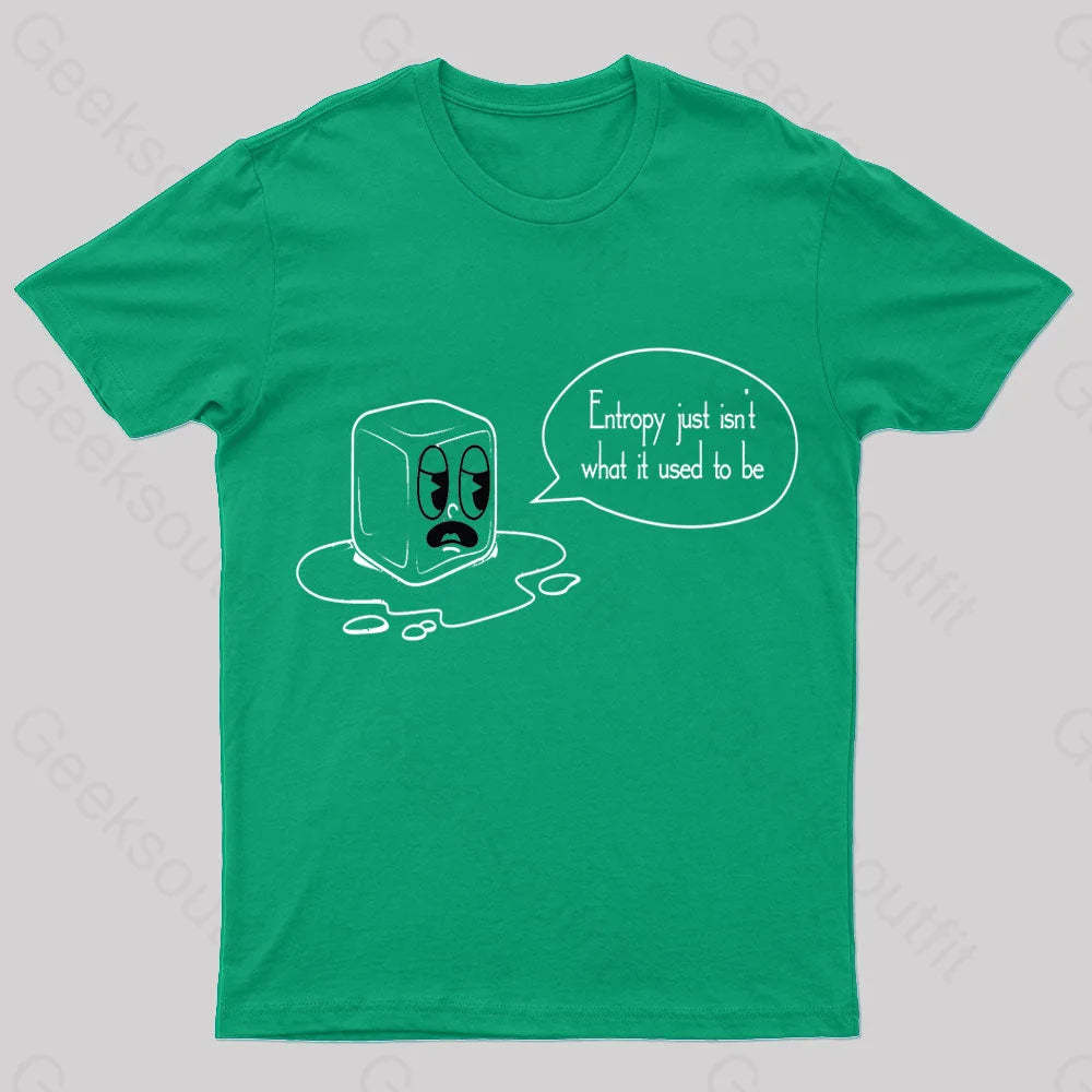 Entropy Just Isn’t What It Used To Be Geek T-Shirt Green / S