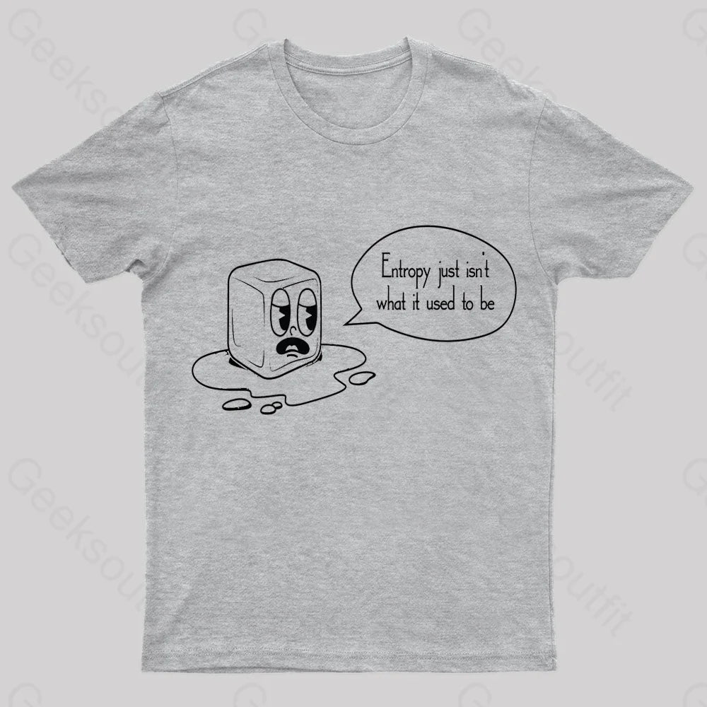 Entropy Just Isn’t What It Used To Be Geek T-Shirt Grey / S