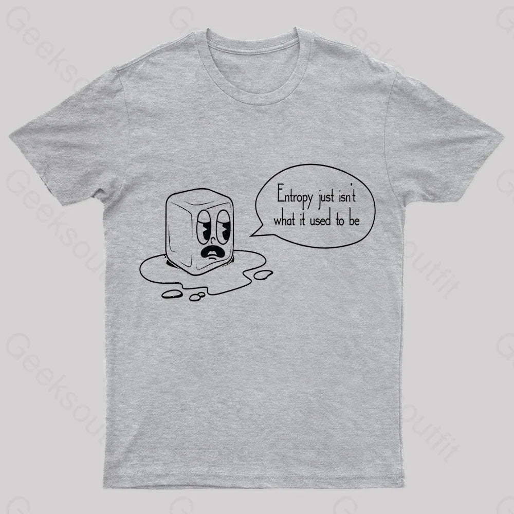 Entropy Just Isn’t What It Used To Be Geek T-Shirt Grey / S