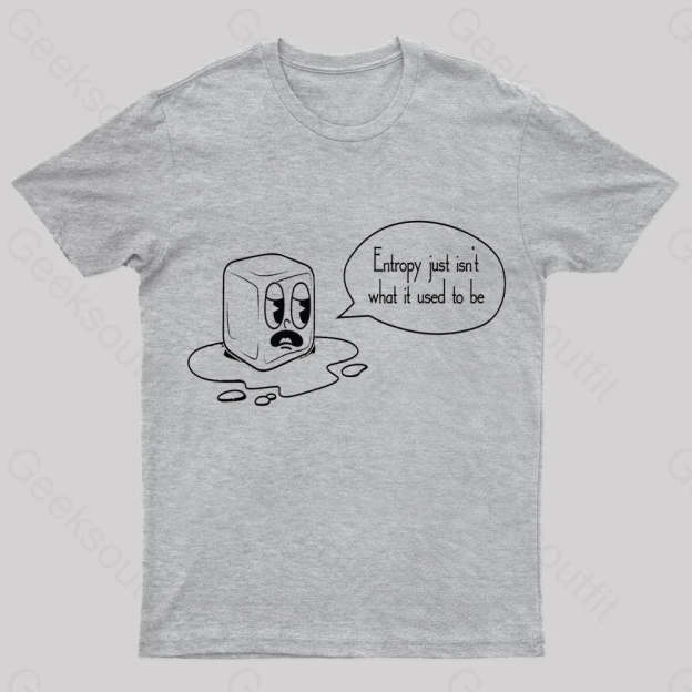 Entropy Just Isn’t What It Used To Be Geek T-Shirt Grey / S