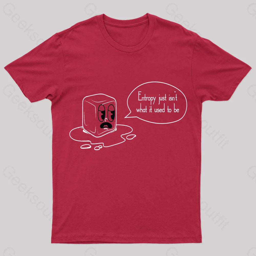 Entropy Just Isn’t What It Used To Be Geek T-Shirt Red / S