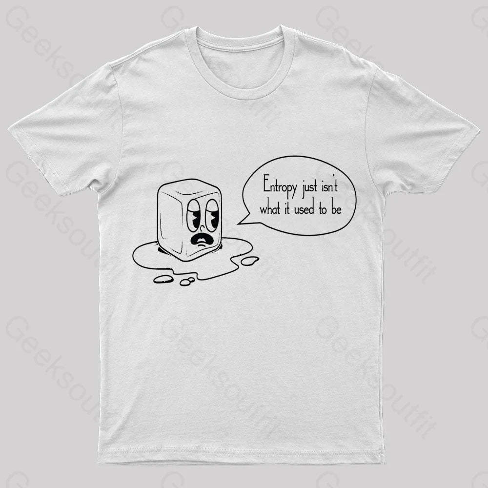 Entropy Just Isn’t What It Used To Be Geek T-Shirt White / S