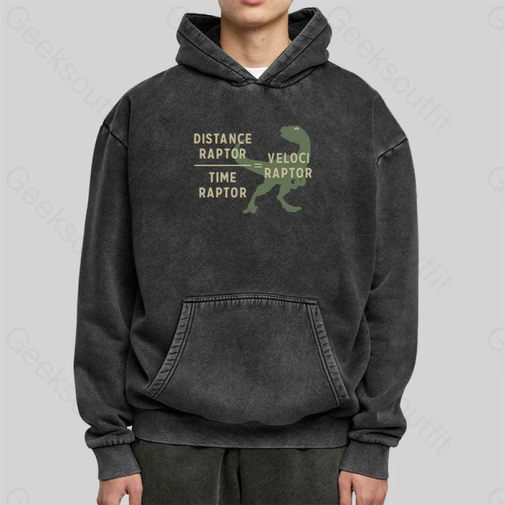 Equations Of Motion Science Velociraptor Washed Hoodie