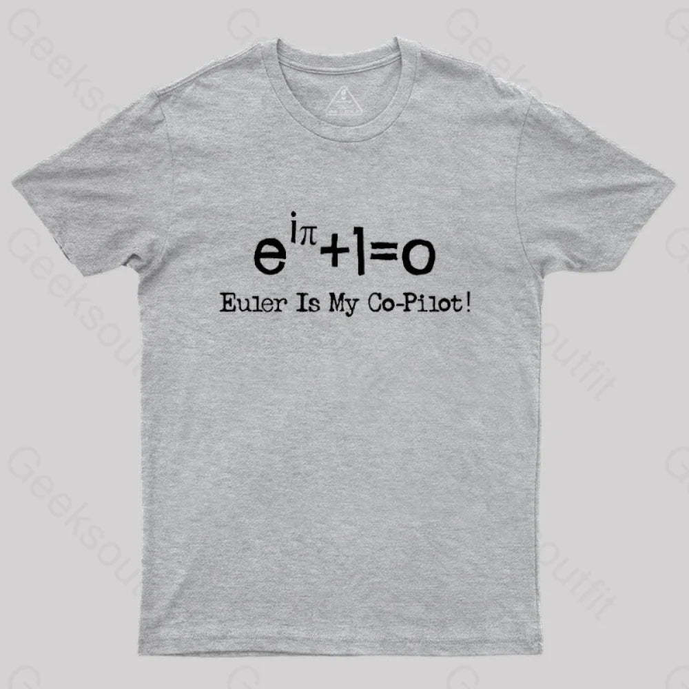 Euler Math Equation T-Shirt Grey / S