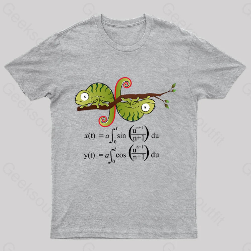 Euler Spiral Nerd T-Shirt Grey / S