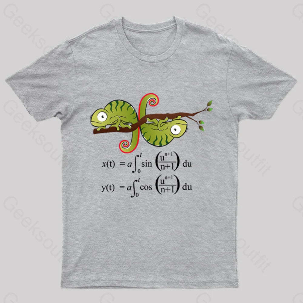 Euler Spiral Nerd T-Shirt Grey / S