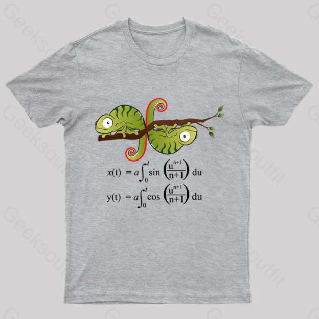 Euler Spiral Nerd T-Shirt Grey / S