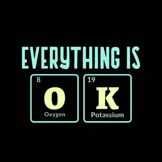 Everything Is Ok Nerd T-Shirt