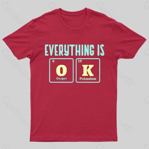 Everything Is Ok Nerd T-Shirt Red / S