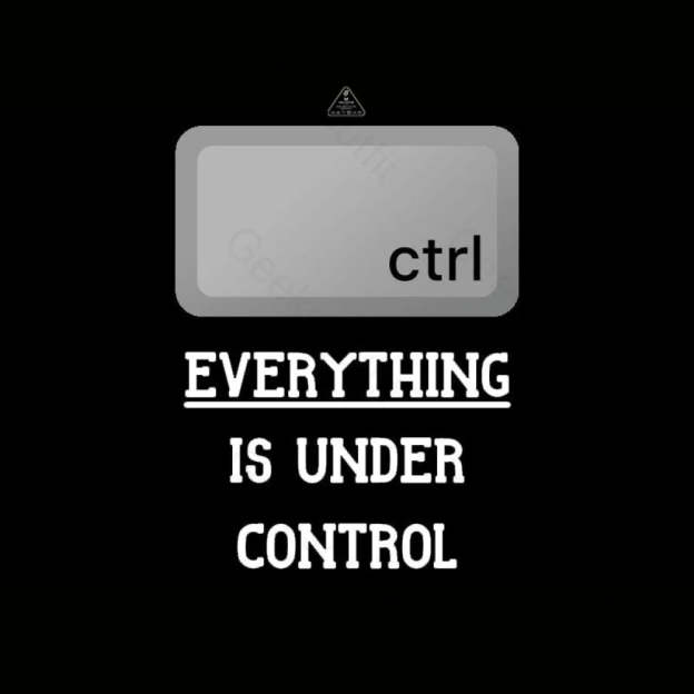 Everything Is Under Ctrl Geek T-Shirt
