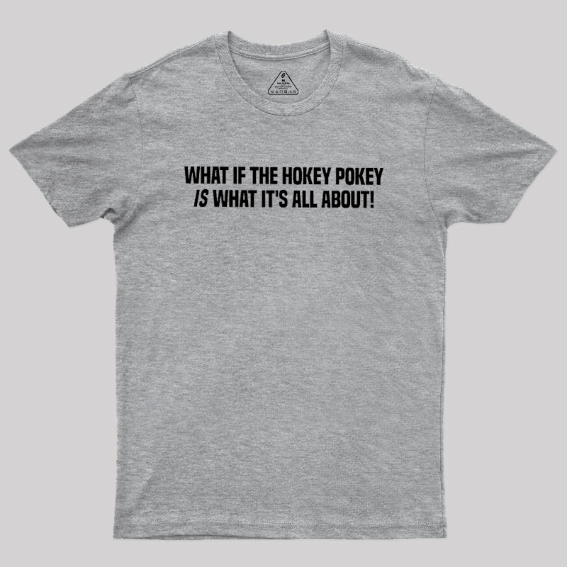 What If The Hokey Pokey Is What Its All About Geek T-Shirt
