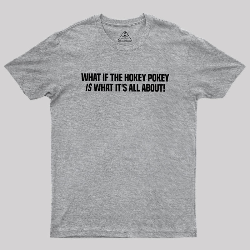 What If The Hokey Pokey Is What Its All About Geek T-Shirt