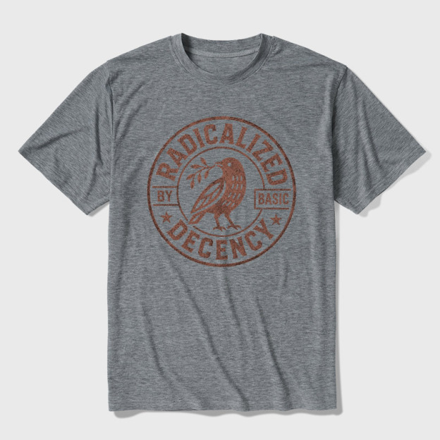 Radicalized By Basic Decency Ultra Soft Heather Tee