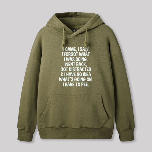I Came I Saw I Forgot What I Was Doing Geek Hoodie