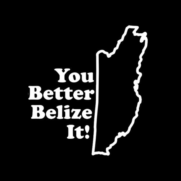 You Better Belize It! Geek T-Shirt