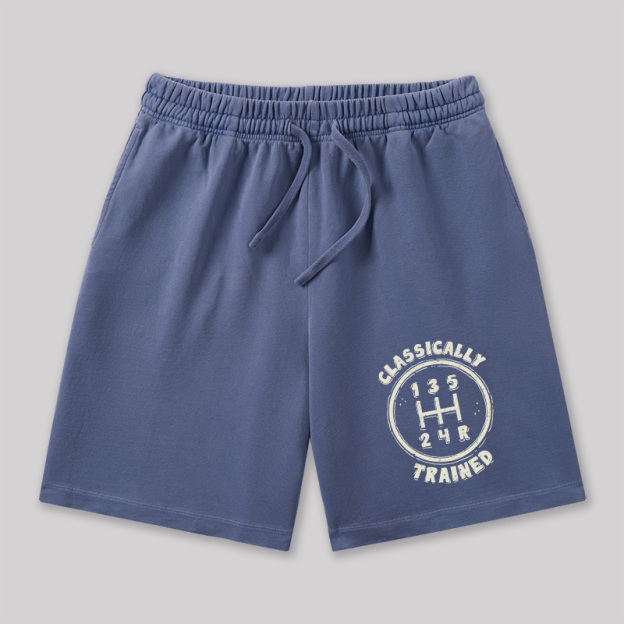 Classically Trained Geeky Washed Shorts