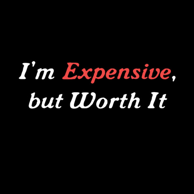 I��m Expensive but Worth It Geek T-Shirt