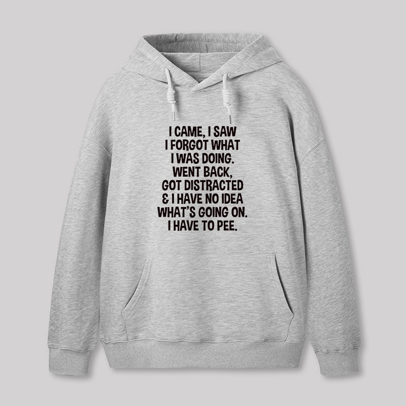 I Came I Saw I Forgot What I Was Doing Geek Hoodie