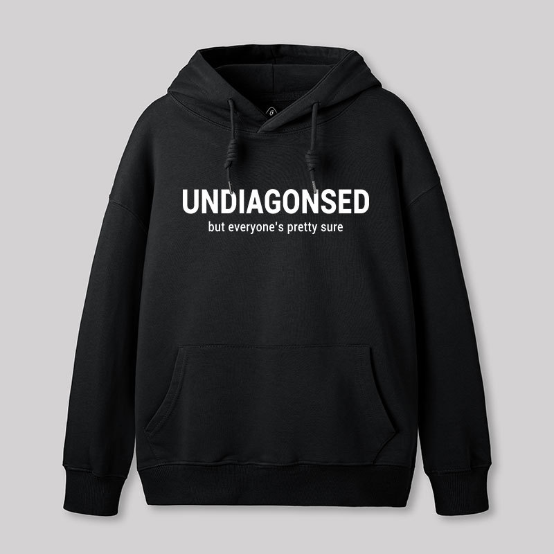 Everyone is Pretty Sure Geek Hoodie