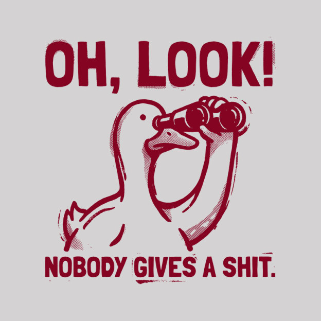 Nobody Gives A Shit Geek T-Shirt