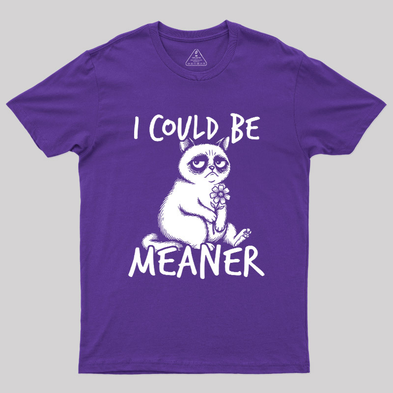 I Could Be Meaner Geek T-Shirt