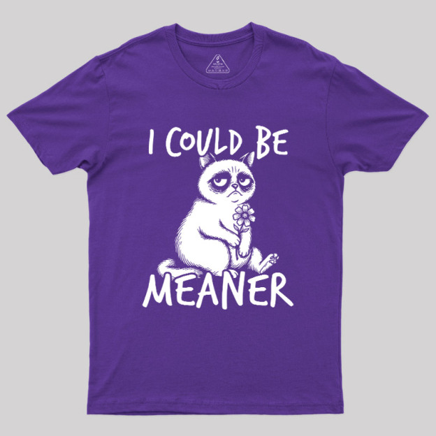 I Could Be Meaner Geek T-Shirt