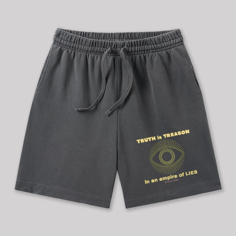 1984 Geeky Washed Shorts