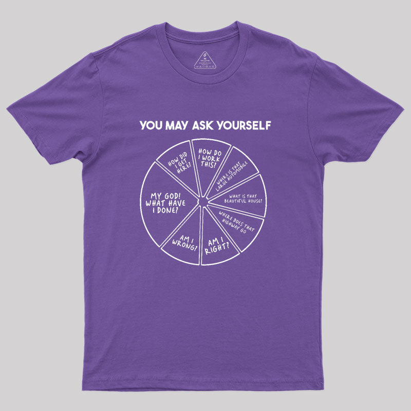 You May Ask Yourself Geek T-Shirt