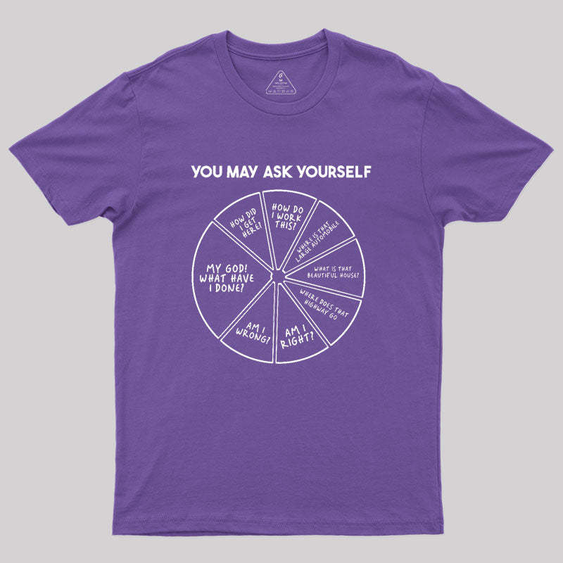 You May Ask Yourself Geek T-Shirt
